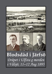 Blodsdåd i Järfsö : dråpet i Ulfsta och morden i Vålsjö, 11–12 Aug 1895