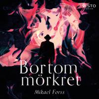 Bortom mörkret