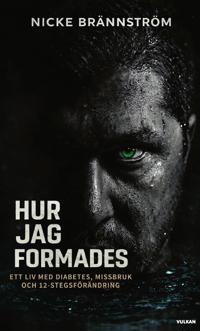 Hur jag formades : ett liv med diabetes, missbruk och 12-stegsförändring