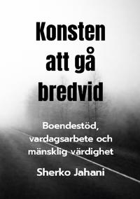 Konsten att gå bredvid : Boendestöd, vardagsarbete och mänsklig värdighet