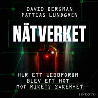 Nätverket : hur ett webbforum blev ett hot mot rikets säkerhet
