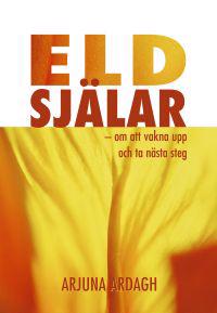Eldsjälar : om att vakna upp och ta nästa steg