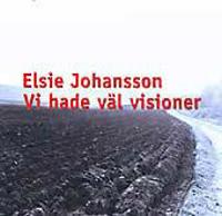 Vi hade väl visioner
