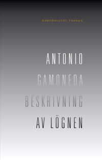 Beskrivning av lögnen