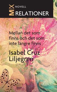 Mellan det som finns och det som inte längre finns