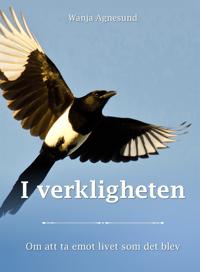 I verkligheten - Om att ta emot livet som det blev