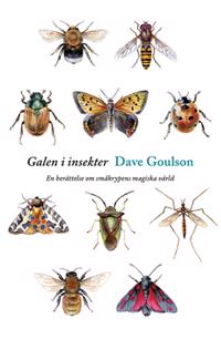 Galen i insekter : En berättelse om småkrypens magiska värld