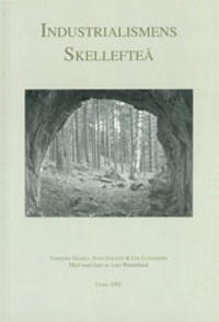 Industrialismens Skellefteå
