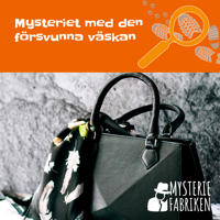 Mysteriet med den försvunna väskan