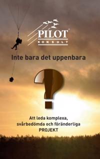 Inte bara det uppenbara : att leda komplexa, svårbedömda och föränderliga projekt