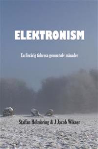 Elektronism : en flerårig resa genom tolv månader