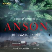 Bröderna Staafsbro: Det oväntade arvet