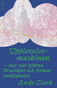 Upplevelsemaskinen: Hur vår hjärna formar och förutsäger ver