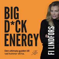 Big Dick Energy : den ultimata guiden till vad kvinnor vill ha