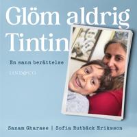 Glöm aldrig Tintin : en sann berättelse