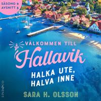 Halka ute, halva inne (S2E3 Välkommen till Hallavik)