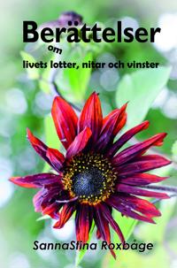 Berättelser om livets lotter, nitar och vinster