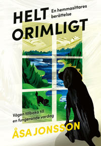 Helt orimligt - En hemmasittares berättelse