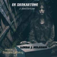 En skokartong i källaren