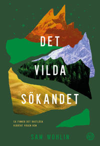 Det vilda sökandet : så finner det rastlösa hjärtat vägen hem