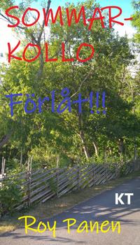 SOMMARKOLLO Förlåt!!! (homoversion) (kort text)