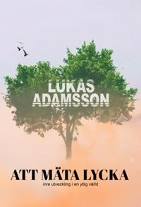 Att mäta lycka: Inre utveckling i en ytlig värld