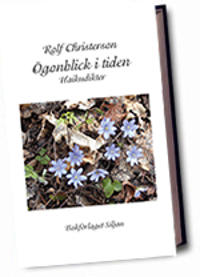 Ögonblick i tiden : haikudikter