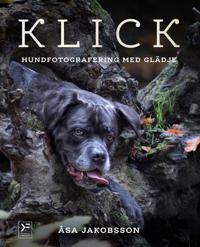 KLICK - hundfotografering med glädje