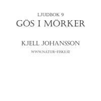 Gös i Mörker