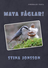Mata fåglar!