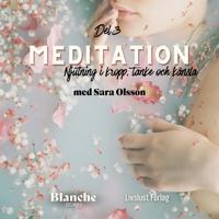 Meditation: njutning i kropp, tanke och känsla (Del 3)