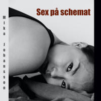 Sex på schemat : en erotisk novell