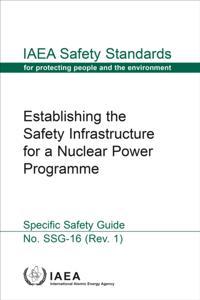 IAEA Safety Standards Series