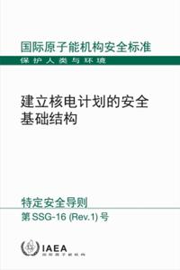 Establishing the Safety Infrastructure for a Nuclear Power Programme