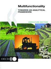 Multifunctionality Towards an Analytical Framework