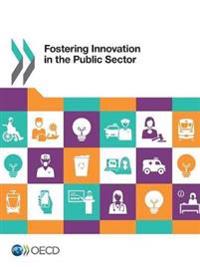Fostering innovation in the public sector