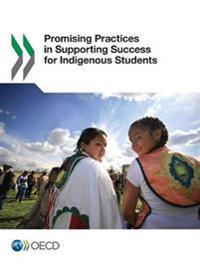 Promising practices in supporting success for indigenous students