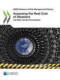 Assessing the real cost of disasters
