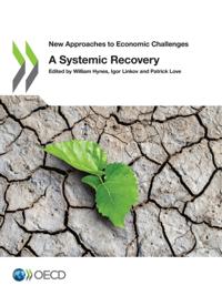New Approaches to Economic Challenges A Systemic Recovery