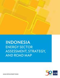 Country Sector and Thematic Assessments