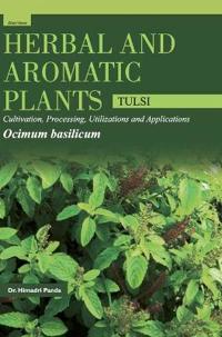 Herbal and Aromatic Plantsocimum Basilicum (Tulsi)