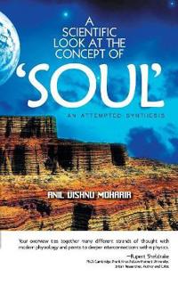 A Scientific Look at the Concept of Soul
