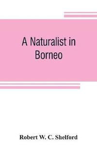 A naturalist in Borneo