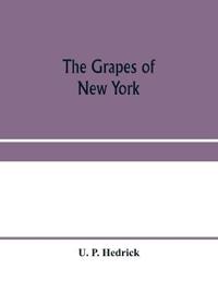 The grapes of New York