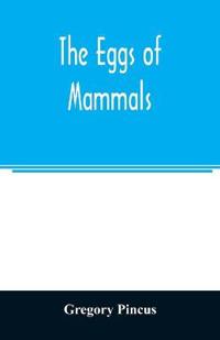 The eggs of mammals
