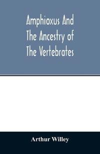 Amphioxus and the ancestry of the vertebrates