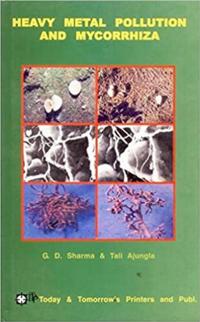 Heavy Metal Pollution and Mycorrhiza