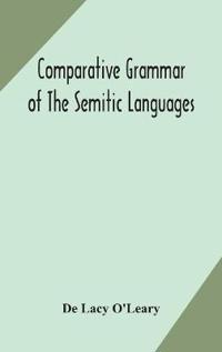 Bokomslag för "Comparative Grammar of the Semitic Languages"