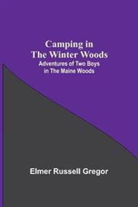 Camping In The Winter Woods
