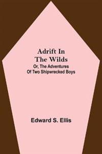 Adrift in the Wilds; Or, The Adventures of Two Shipwrecked Boys